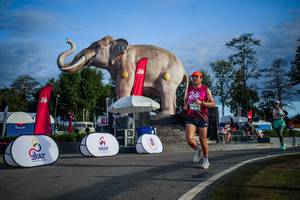 BIB: 
                            <button type="button" onclick="openModal(26541819)" class="btn btn-primary btn-sm float-right btn-popup" data-toggle="modal" data-target=".modal-high-quality">
                        <i class="fas fa-shopping-cart"></i> Add to Cart
                    </button>
                                            <button type="button" onclick="isThisMe(26541819, true)" class="btn btn-success btn-sm float-right btn-popup btn-isme hidden" data-toggle="tooltip" data-placement="bottom" title="นี่คือรูปของคุณใช่ไหม คลิกที่นี่เพื่อเอาเข้าอัลบั้ม">
                        <i class="fas fa-plus"></i> Add to album
                    </button>
                    <button type="button" onclick="isThisMe(26541819, false)" class="btn btn-warning btn-sm float-right btn-popup btn-isnotme hidden">
                        <i class="fas fa-ban"></i> Remove from album
                    </button>